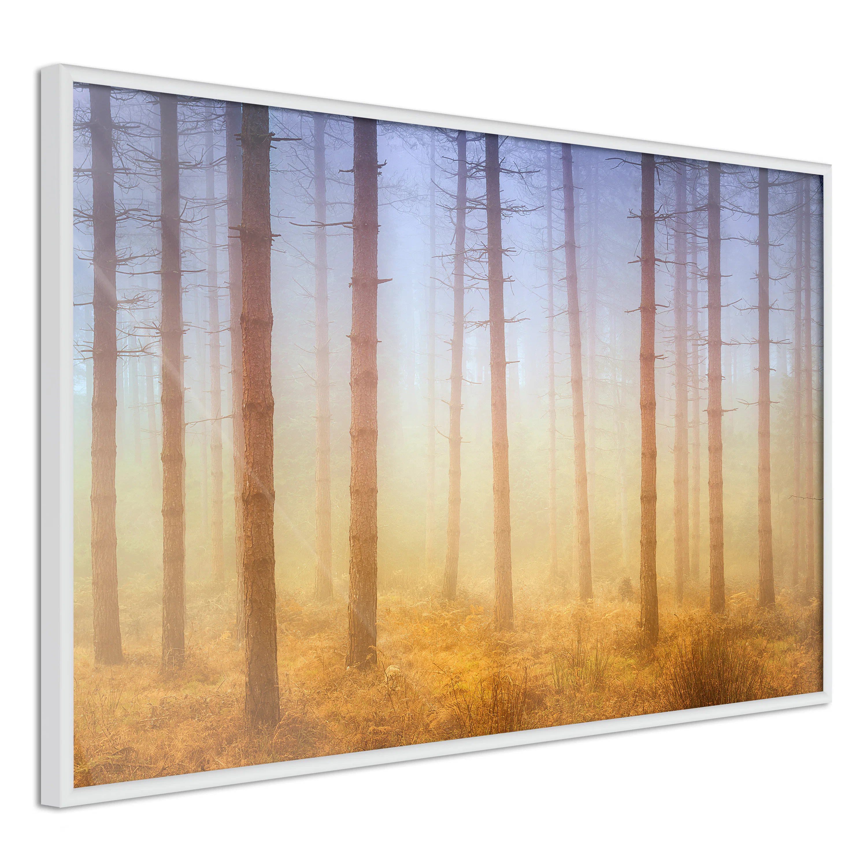 Poster Artgeist Affisch Foggy Forest