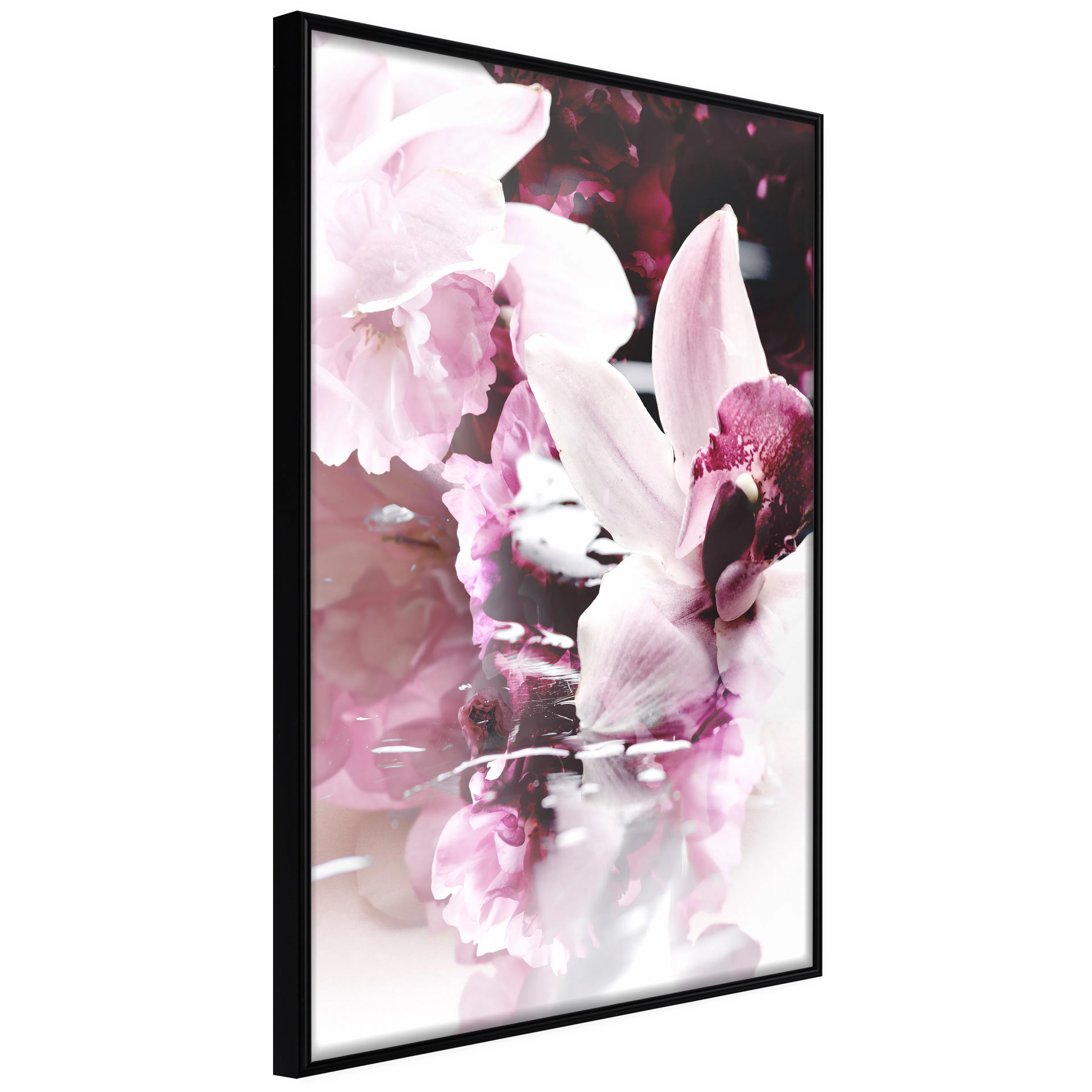 Affisch - Sleepy Orchid [Poster] 20x30 Svart ram, 20x30 cm