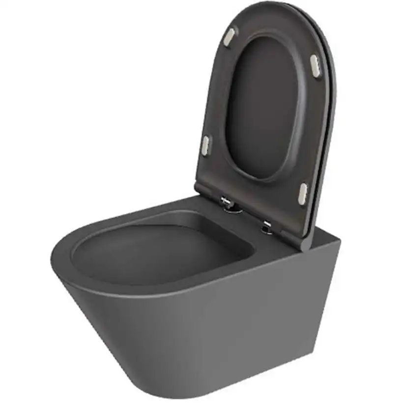 Forma Vägghängd Toalettstol, Anthracite