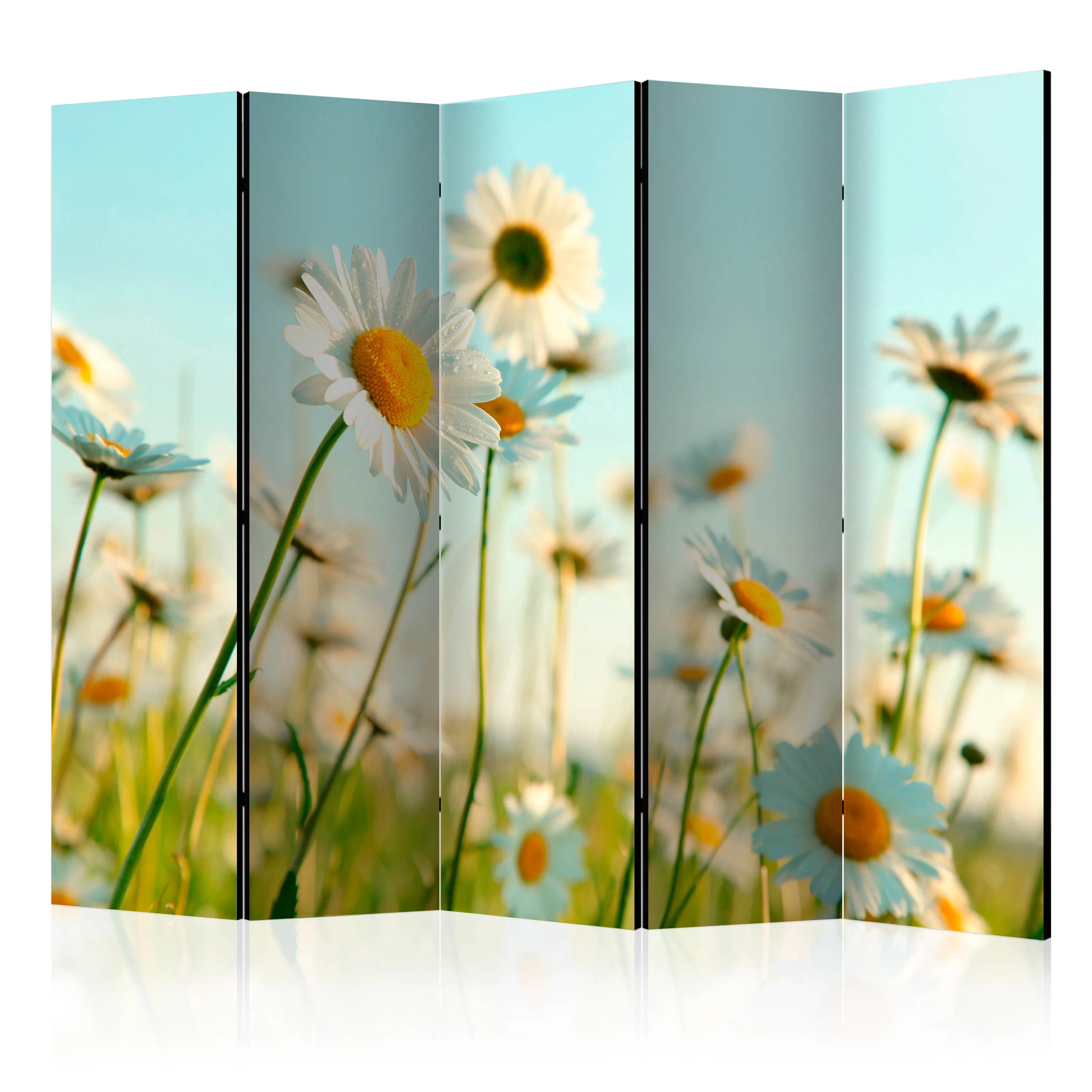 Rumsavdelare Skärmvägg Arkiio Daisies Spring Meadow II 225x172 cm