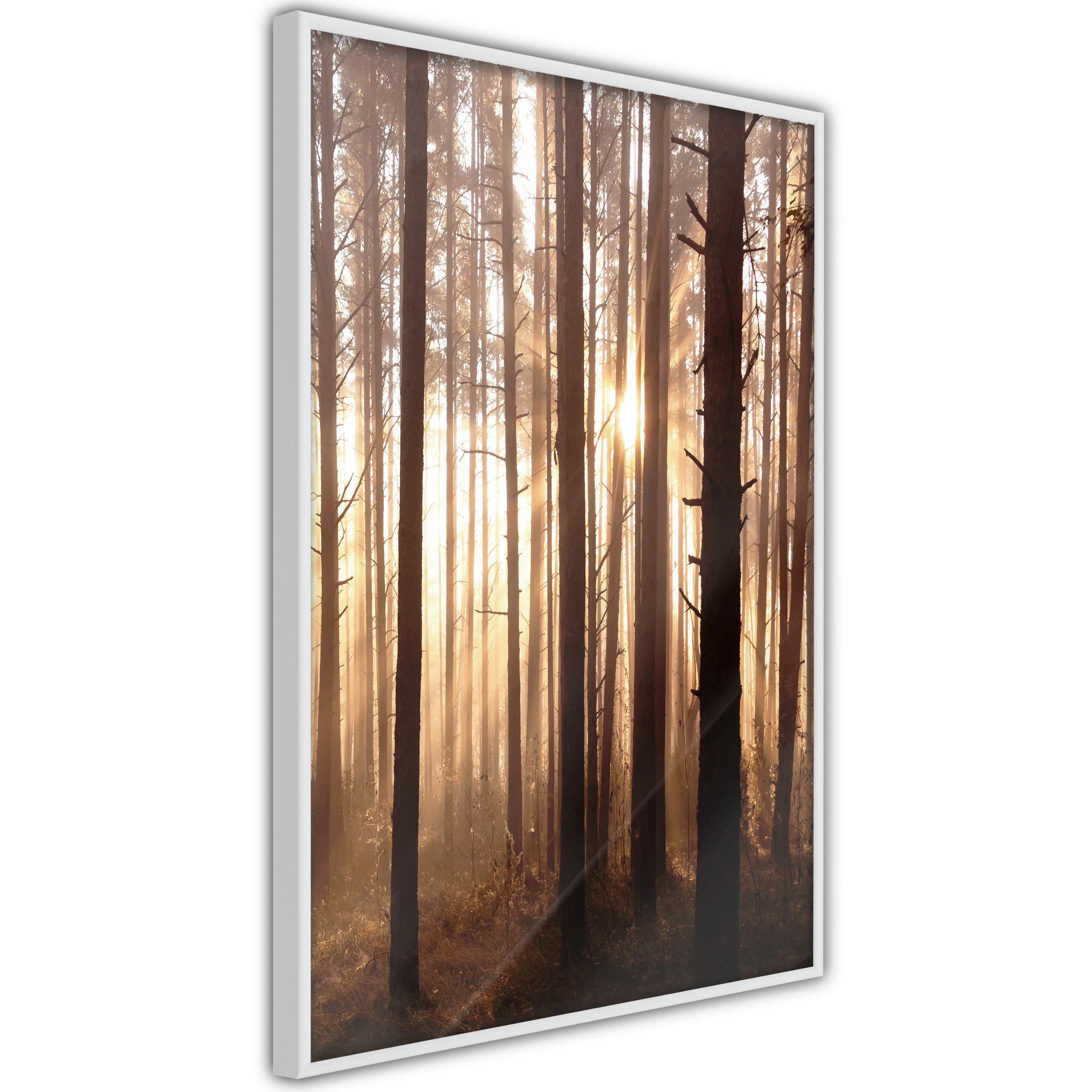 Poster Artgeist Affisch Forest Paths