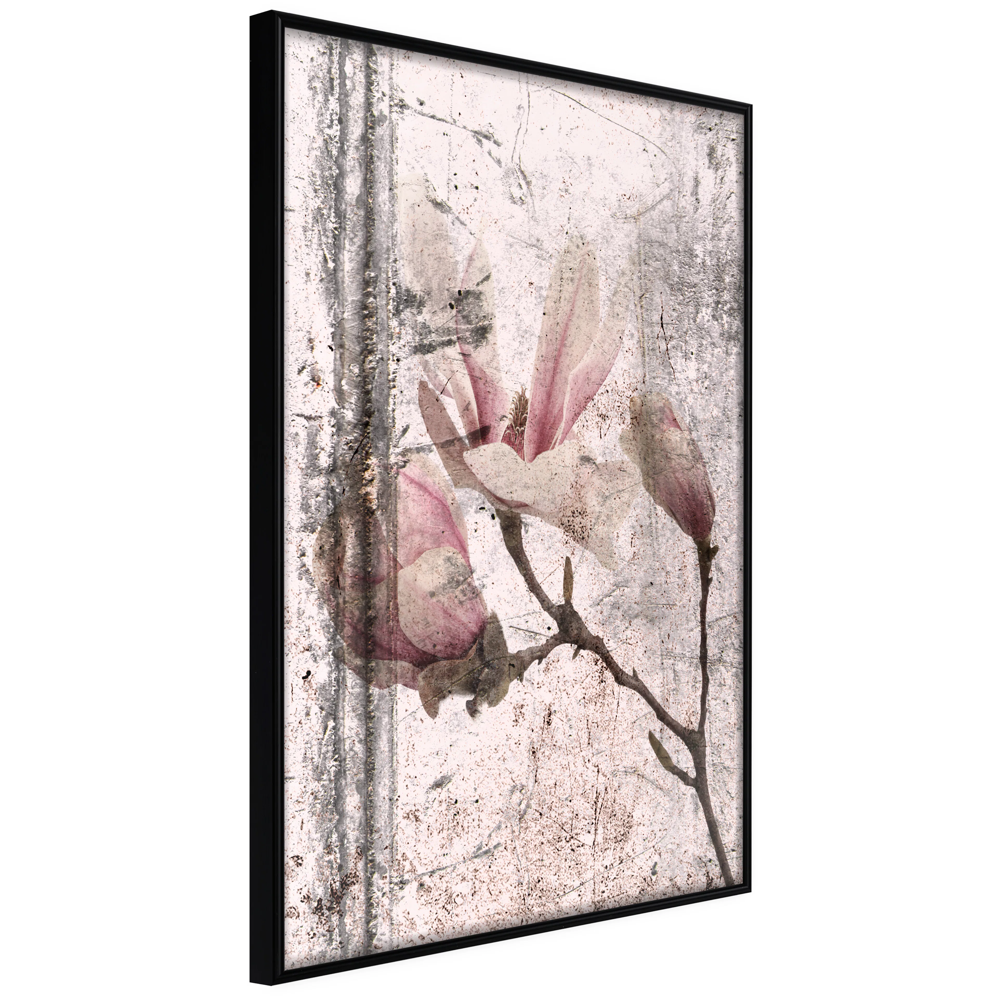 Affisch - Exquisite Magnolia [Poster] 20x30 Svart ram, 20x30 cm