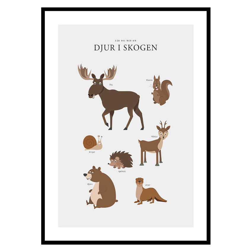 Poster Gallerix Djur I Skogen