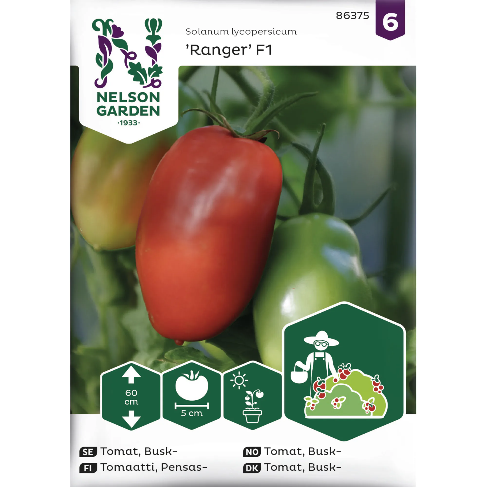Frö Nelson Garden Tomat Ranger F1 Busktomat