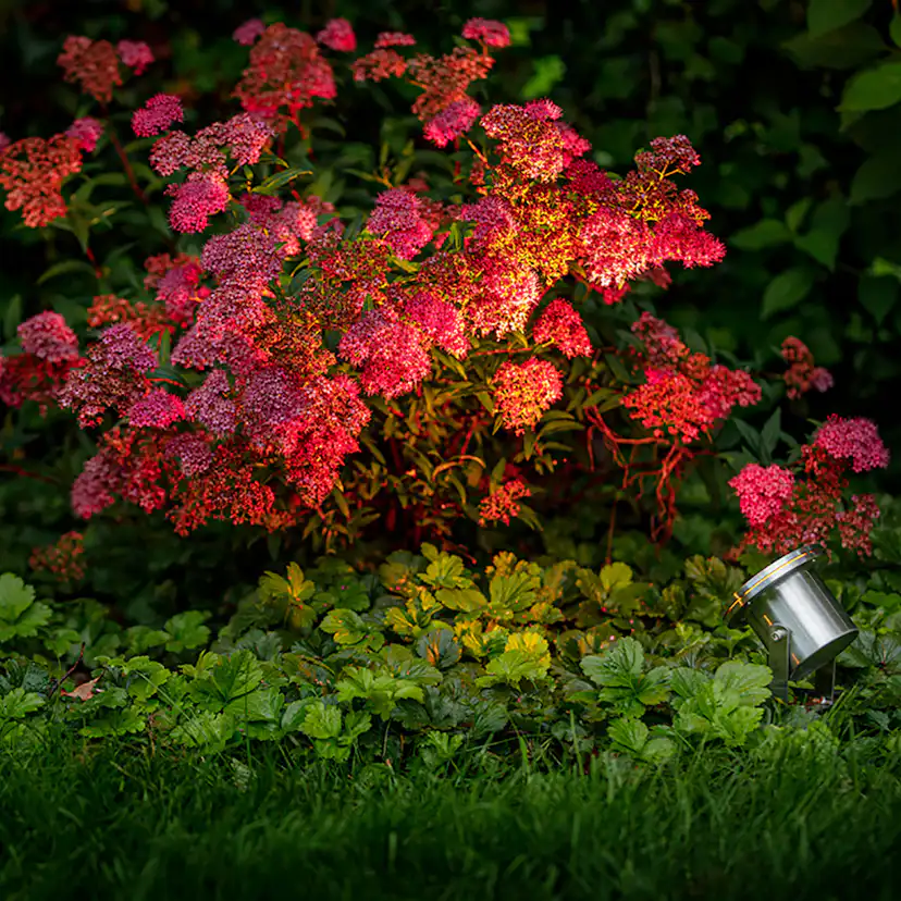 Spotlight Gardenlights Arigo LED-Spot i Rostfritt Stål