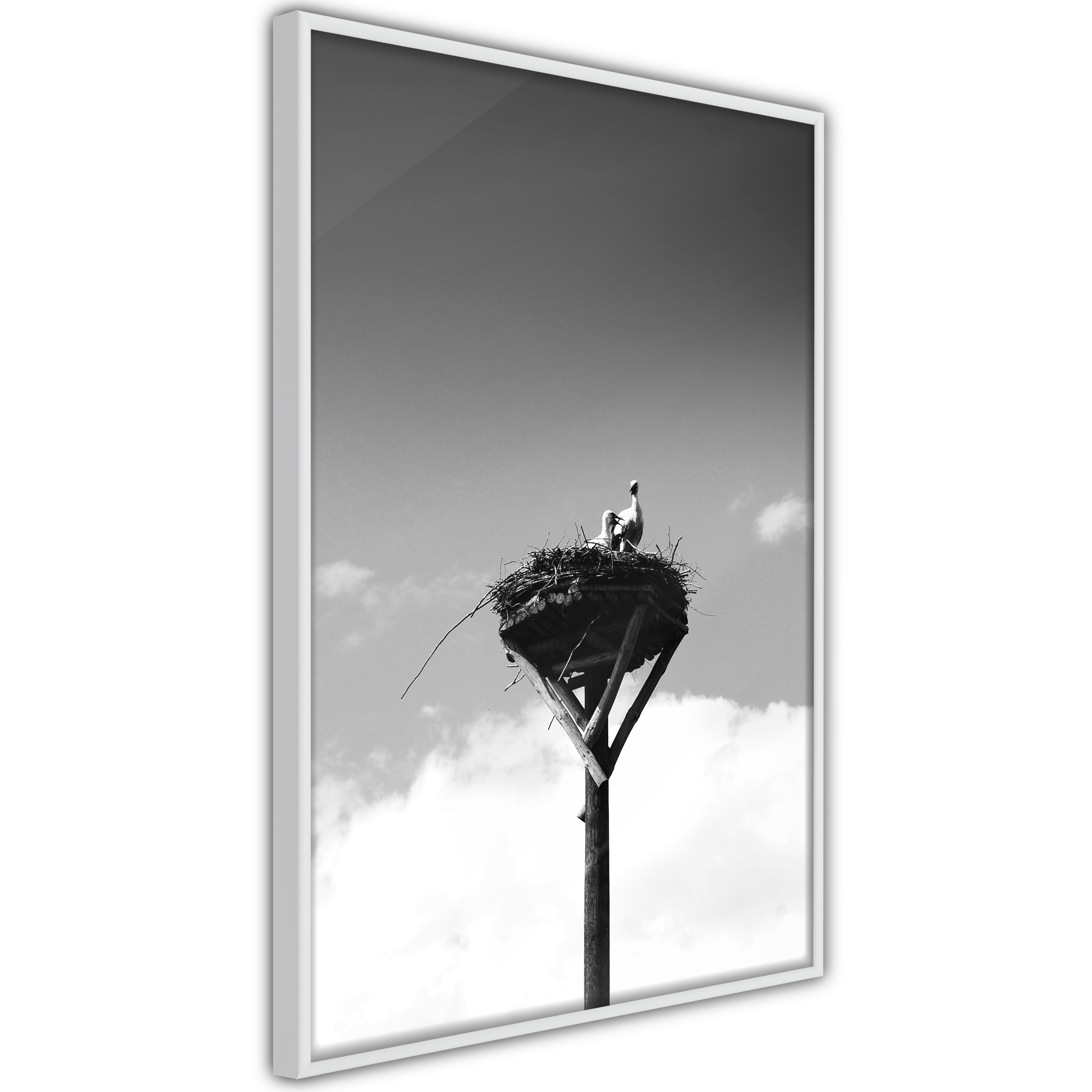 Poster Artgeist Affisch Crow's Nest