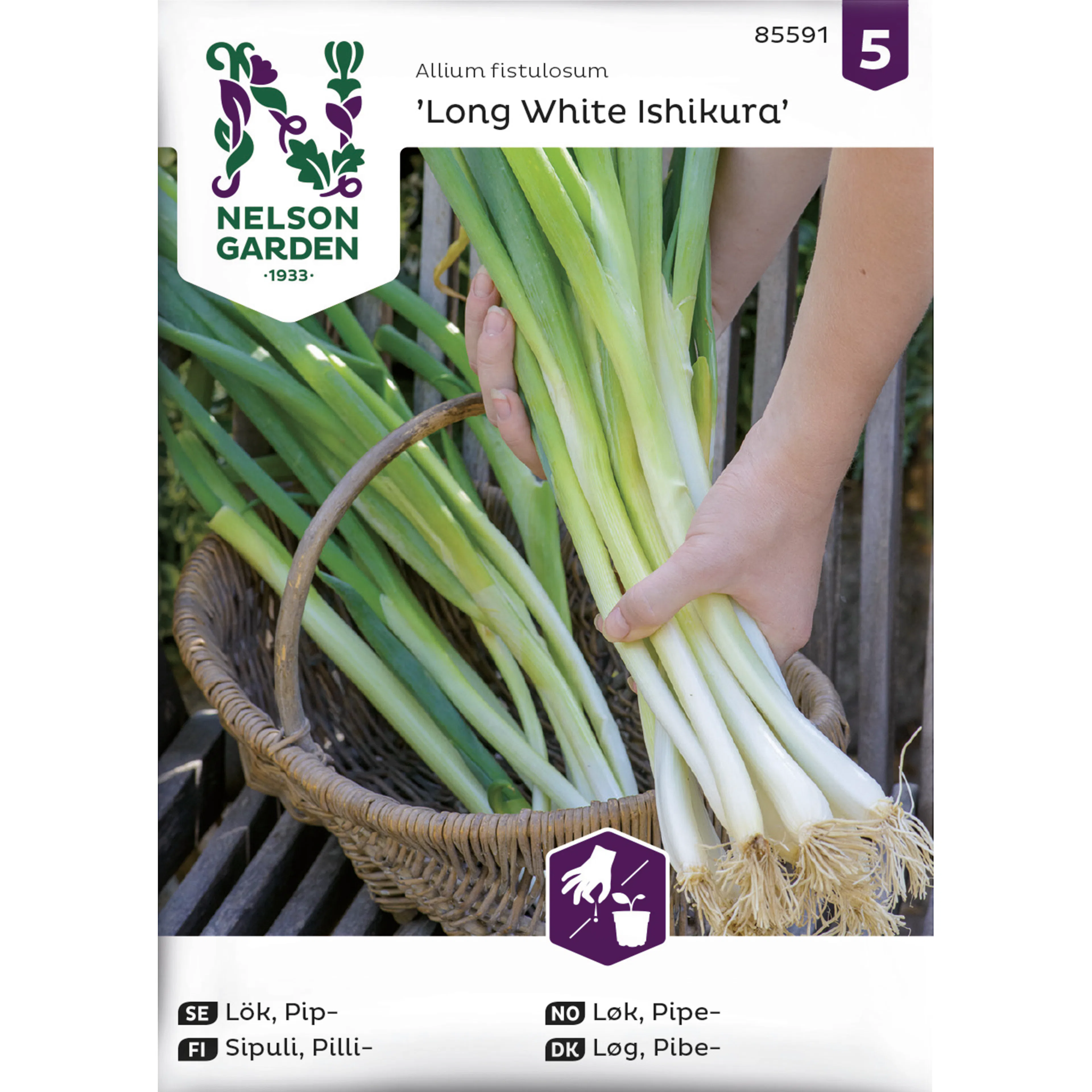 Frö Nelson Garden Lök Pip Long White Ishikura