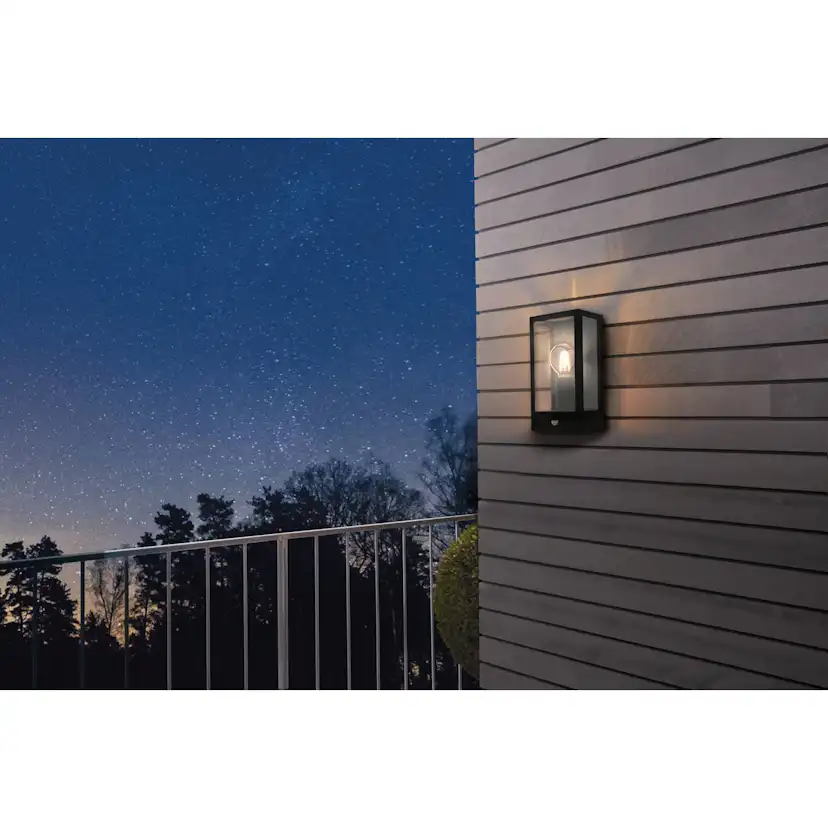 Vägglampa Utebelysning Eglo Alamonte med Sensor