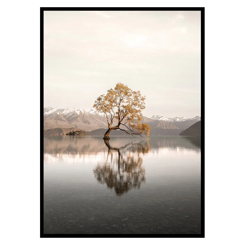 Poster Gallerix The Lonely Tree