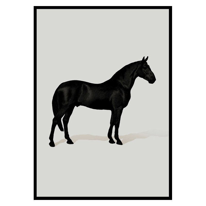 Poster Gallerix Black Horse Port. Drawing