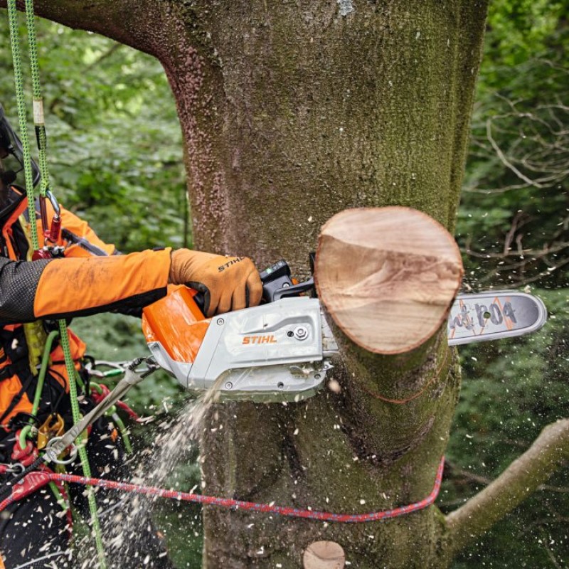 Motorsåg STIHL MSA 220 C-B Batteridriven