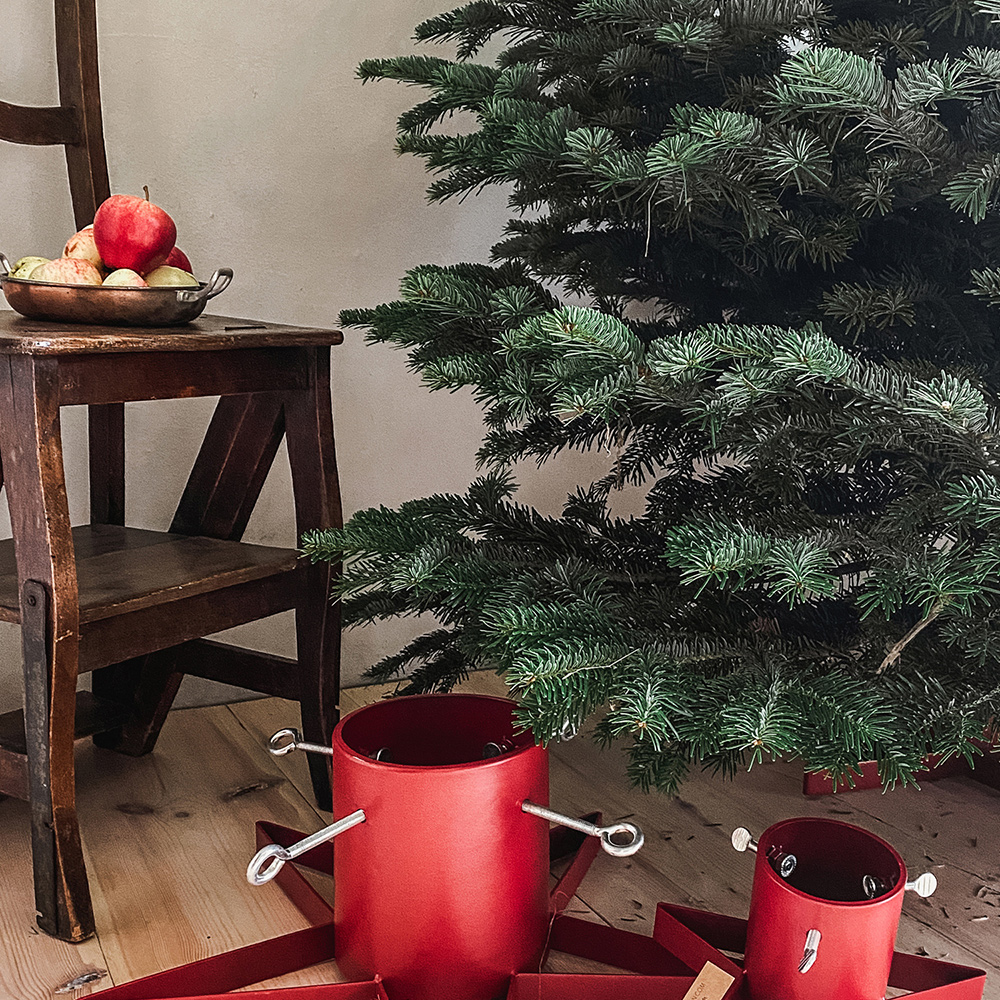 Julgransfot by Benson Stand Star