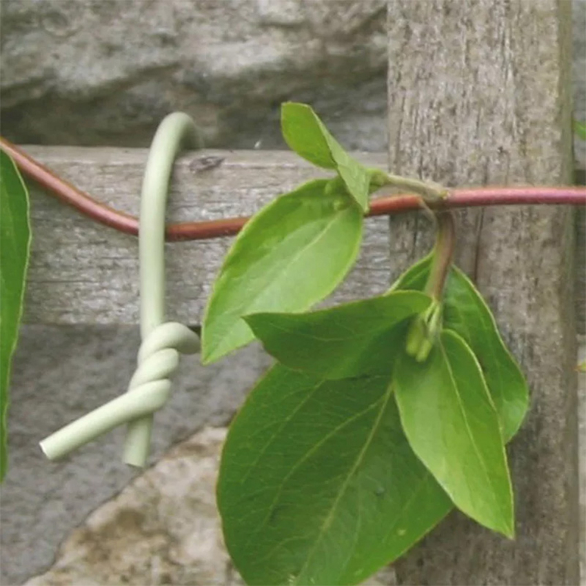 Uppbindning Omnia Garden Slim Soft Tie 8m