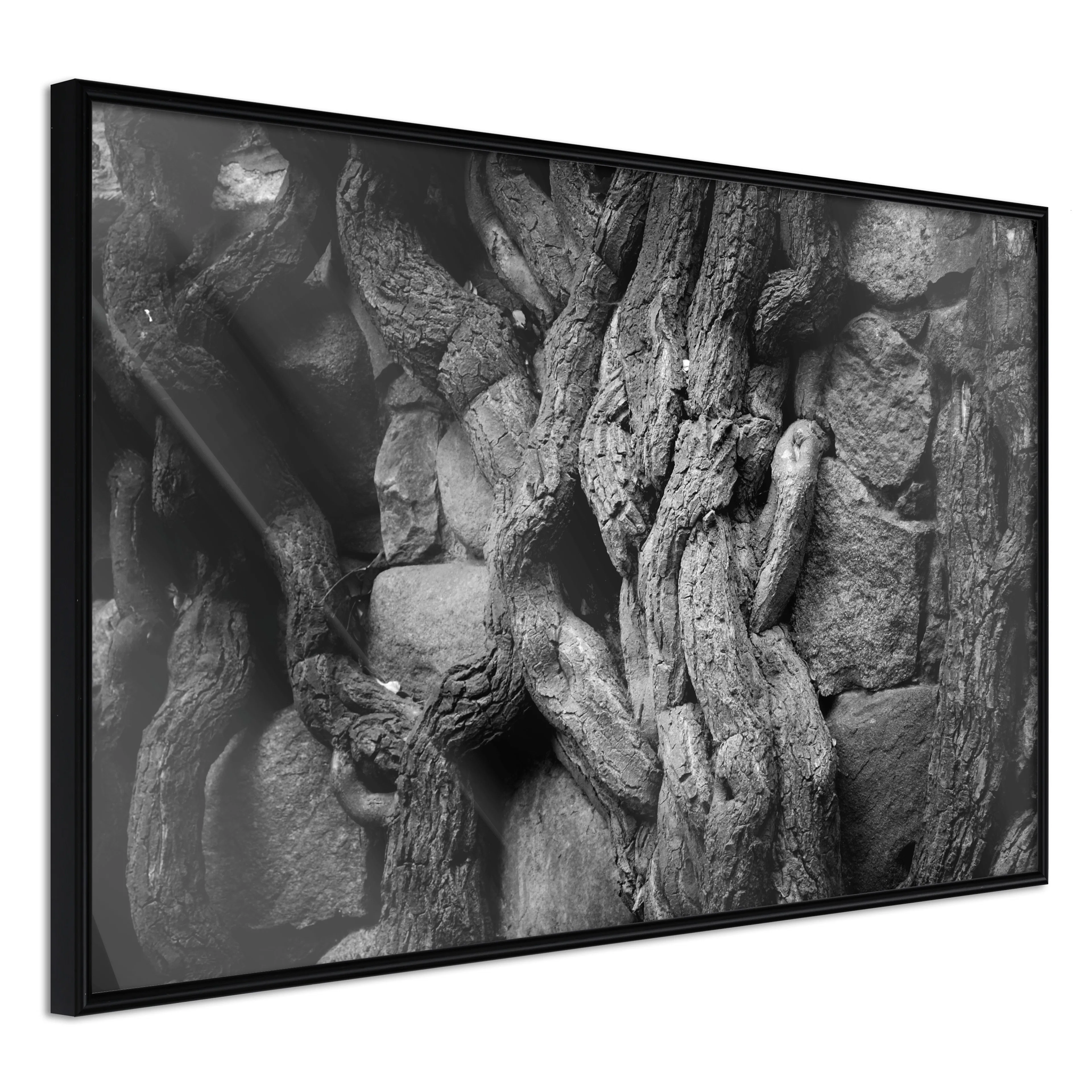 Affisch - Overgrown Stones [Poster] 30x20 Svart ram, 30x20 cm