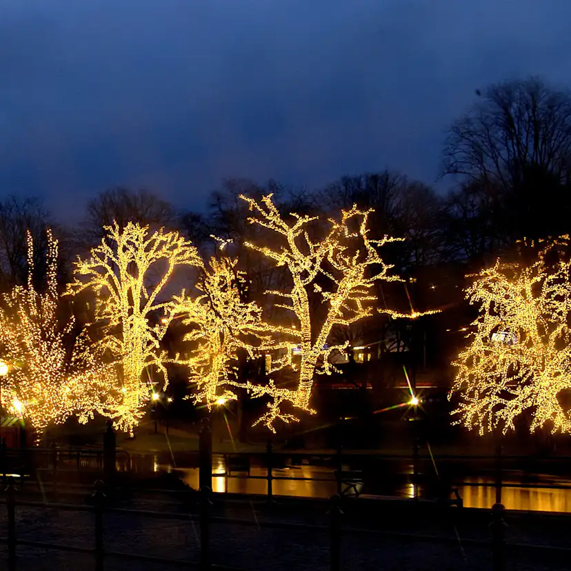 Ljusgardin Extra System LED 204L Varmvit