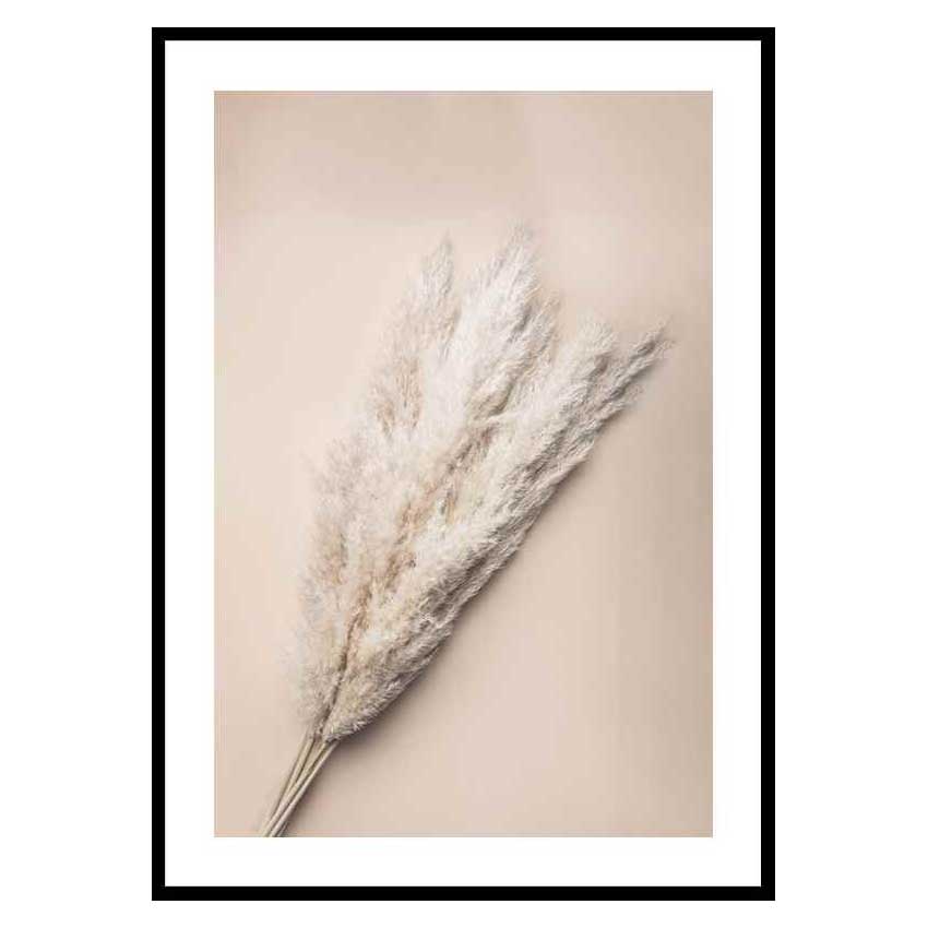 Poster Gallerix Pampas Grass