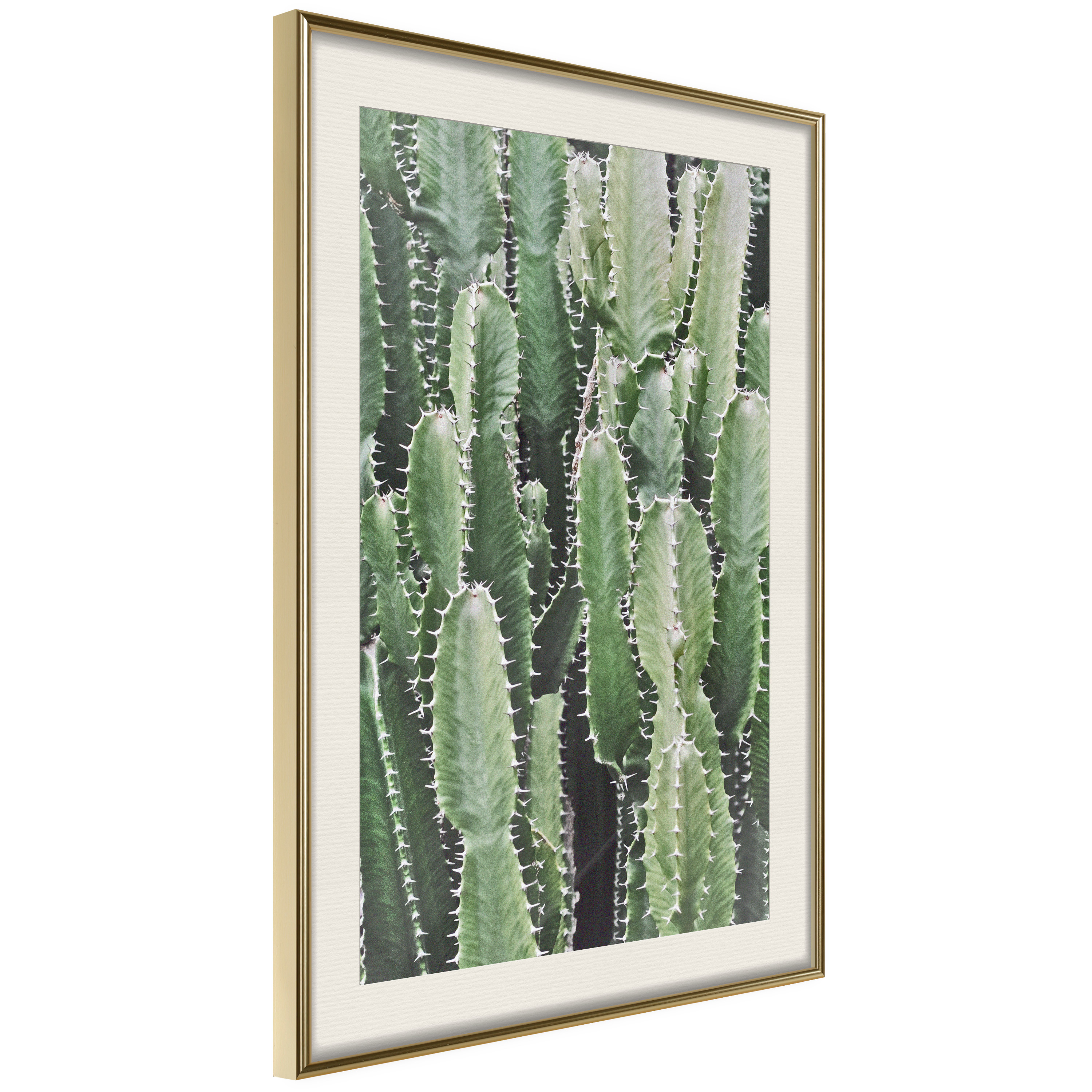 Affisch - Cactus Garden [Poster] 30x45 Guld ram med passepartout, 30x45 cm