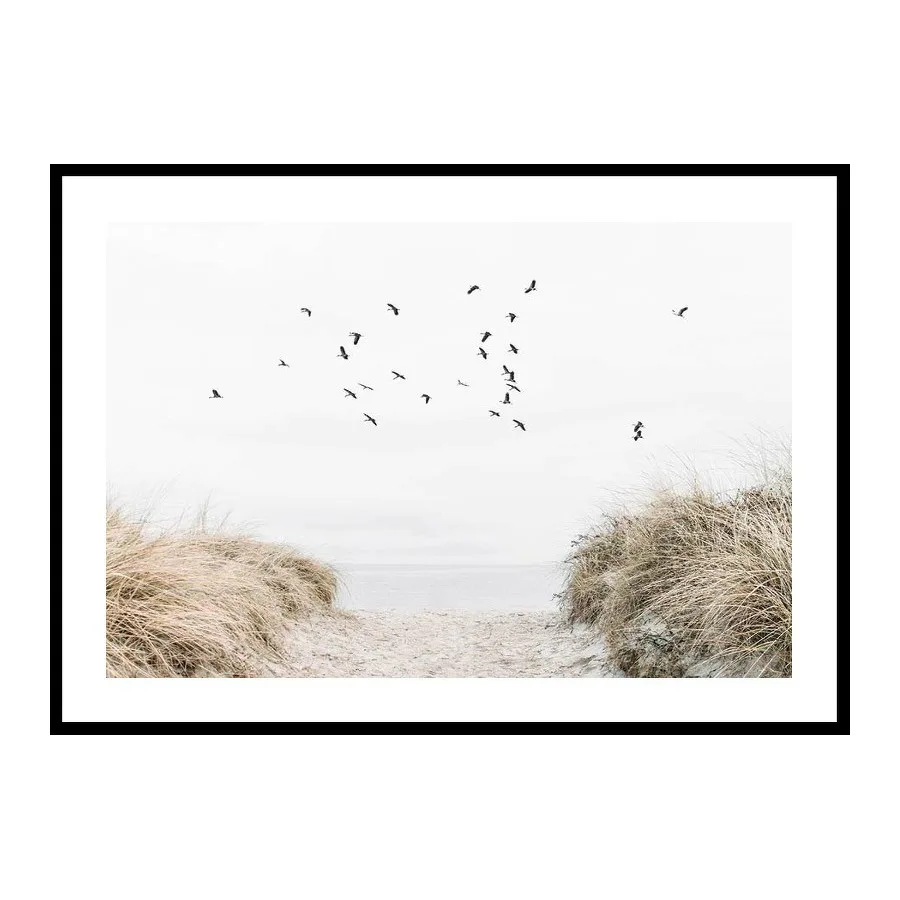 Poster Gallerix Free As A Bird