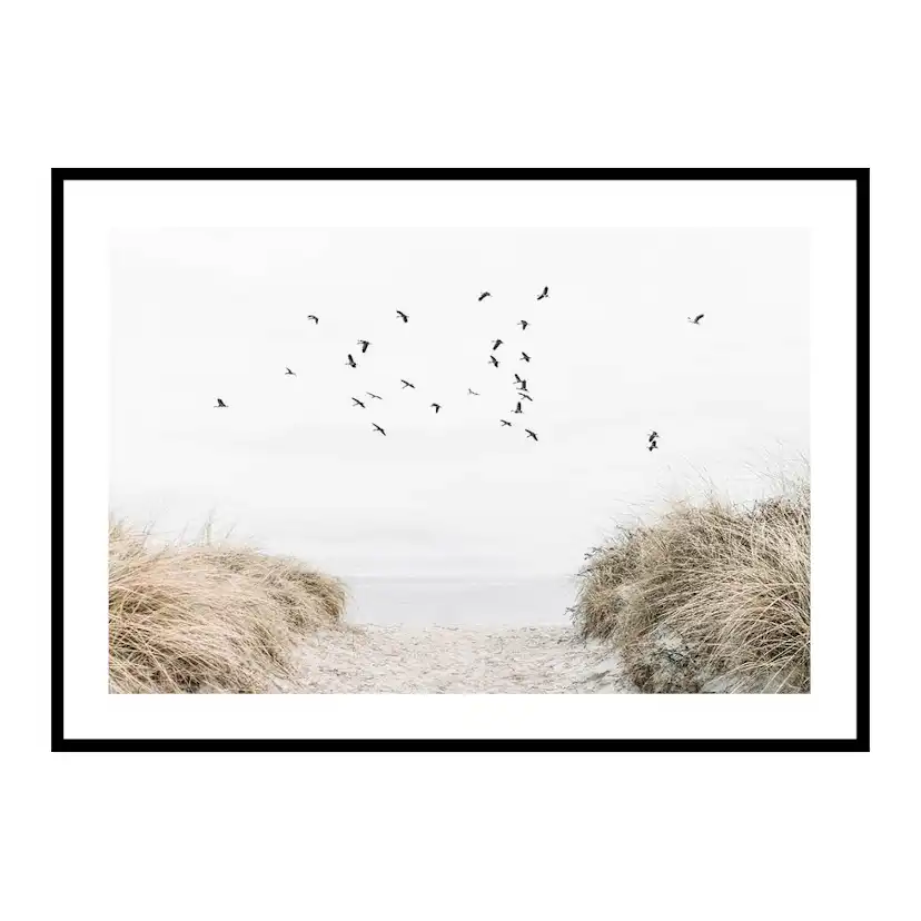 Poster Gallerix Free As A Bird