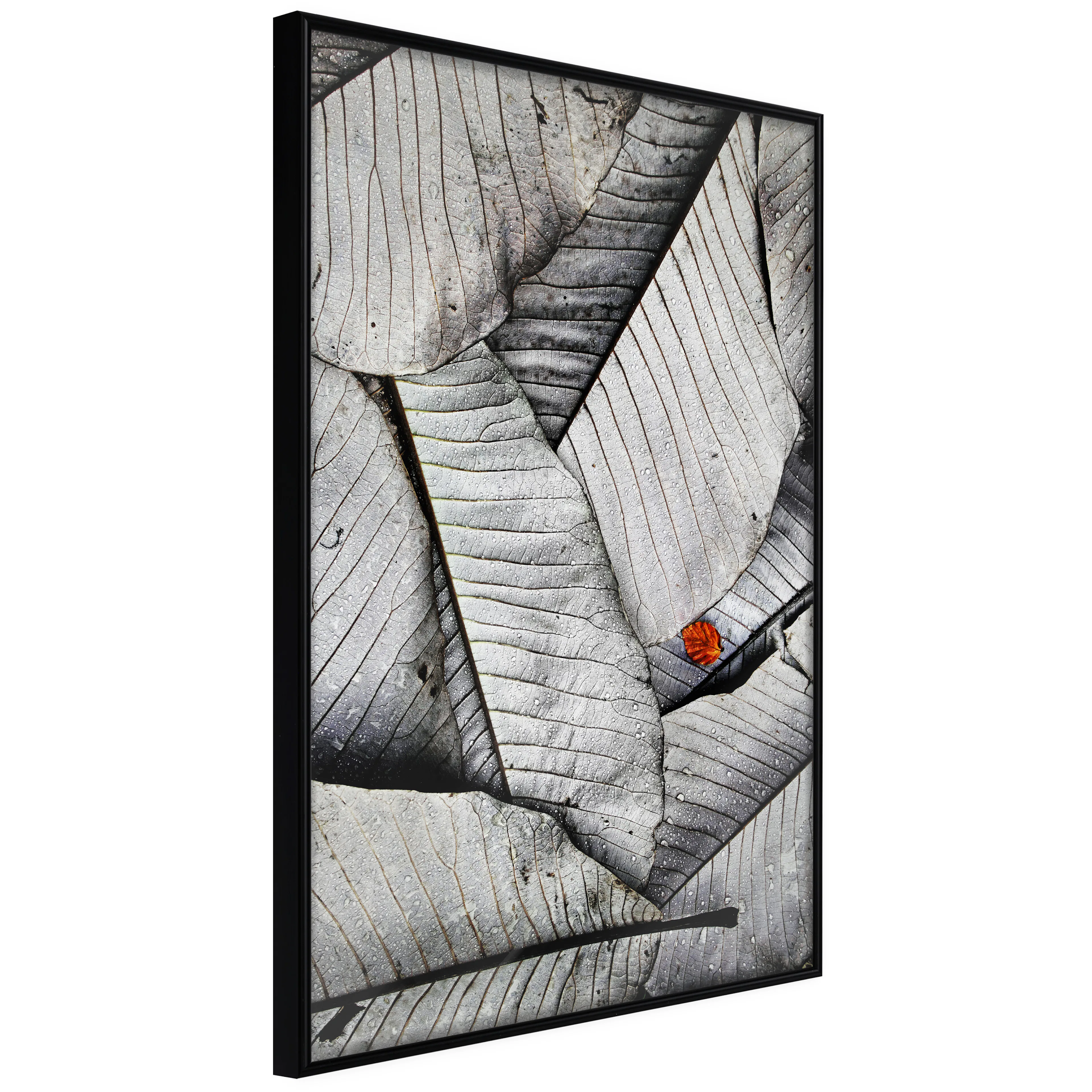Affisch - Black And White Leaves [Poster] 20x30 Svart ram, 20x30 cm
