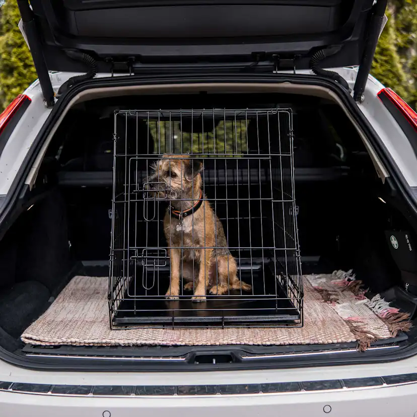 Hundbur Trekker Halvkombi XL