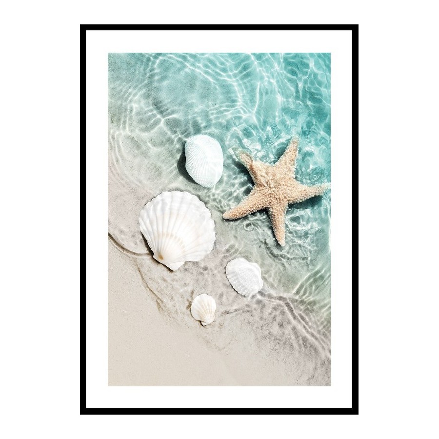 Poster Gallerix Starfish And Seashell