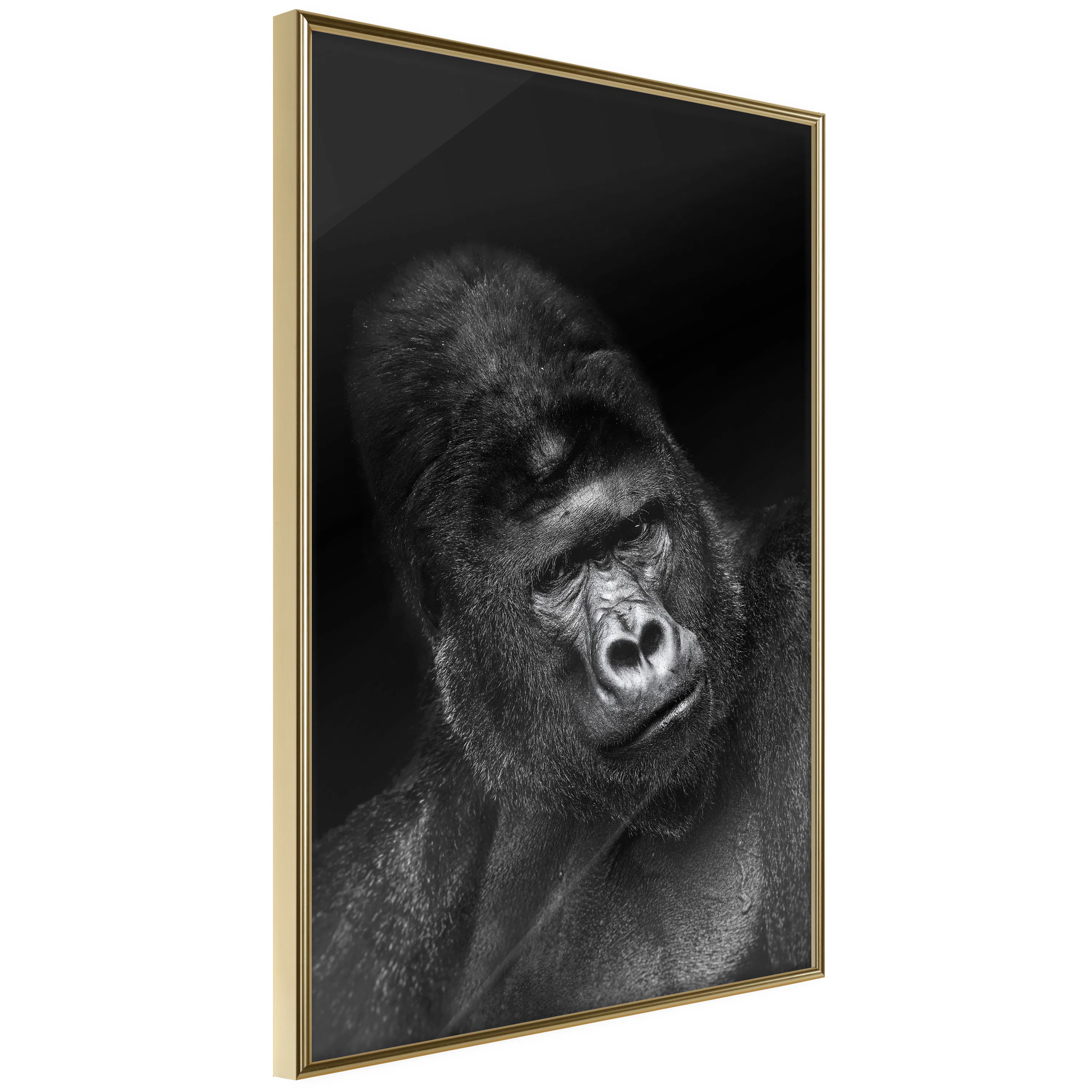 Poster Artgeist Affisch Gorilla
