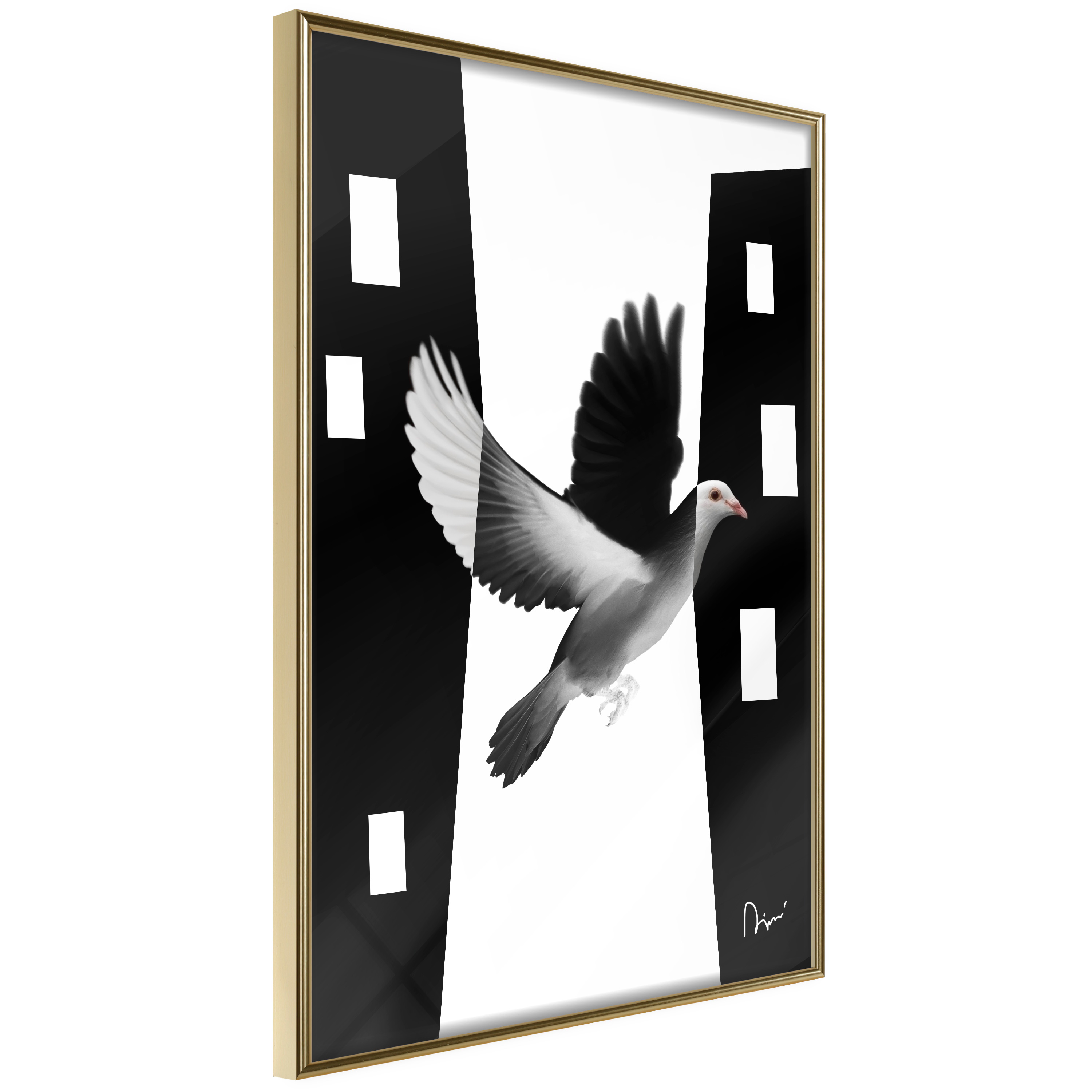 Poster Artgeist Affisch White Dove