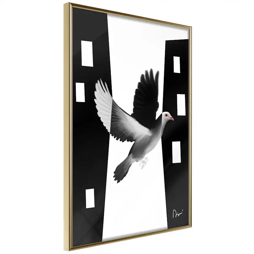 Poster Artgeist Affisch White Dove