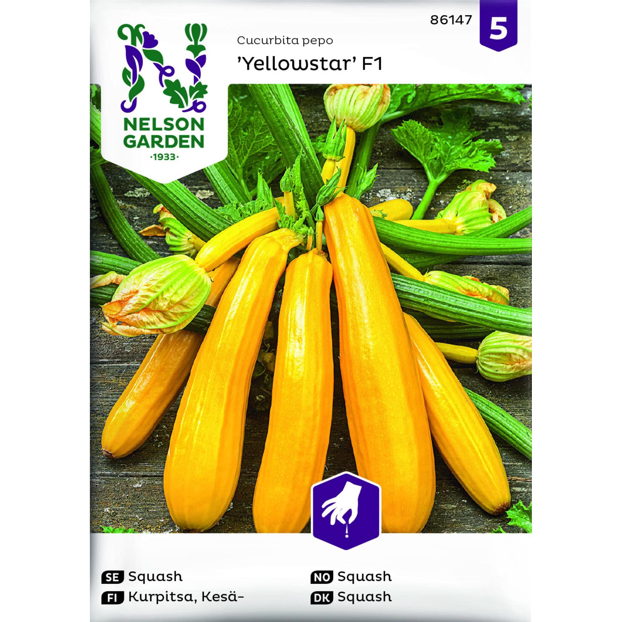 Frö Nelson Garden Squash Yellowstar F1