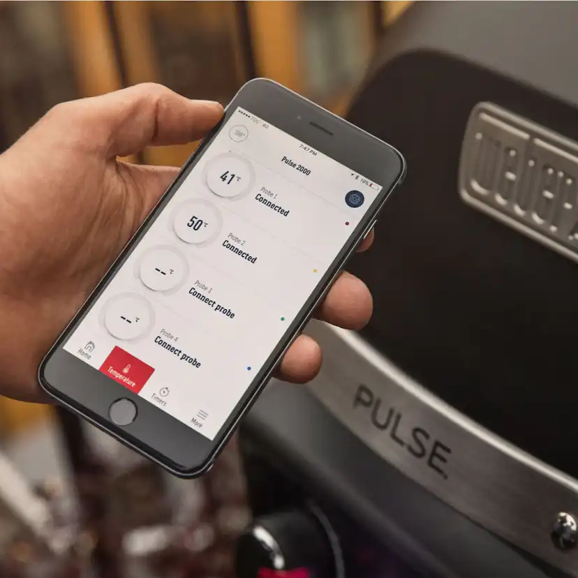 Elgrill Weber Pulse 1000