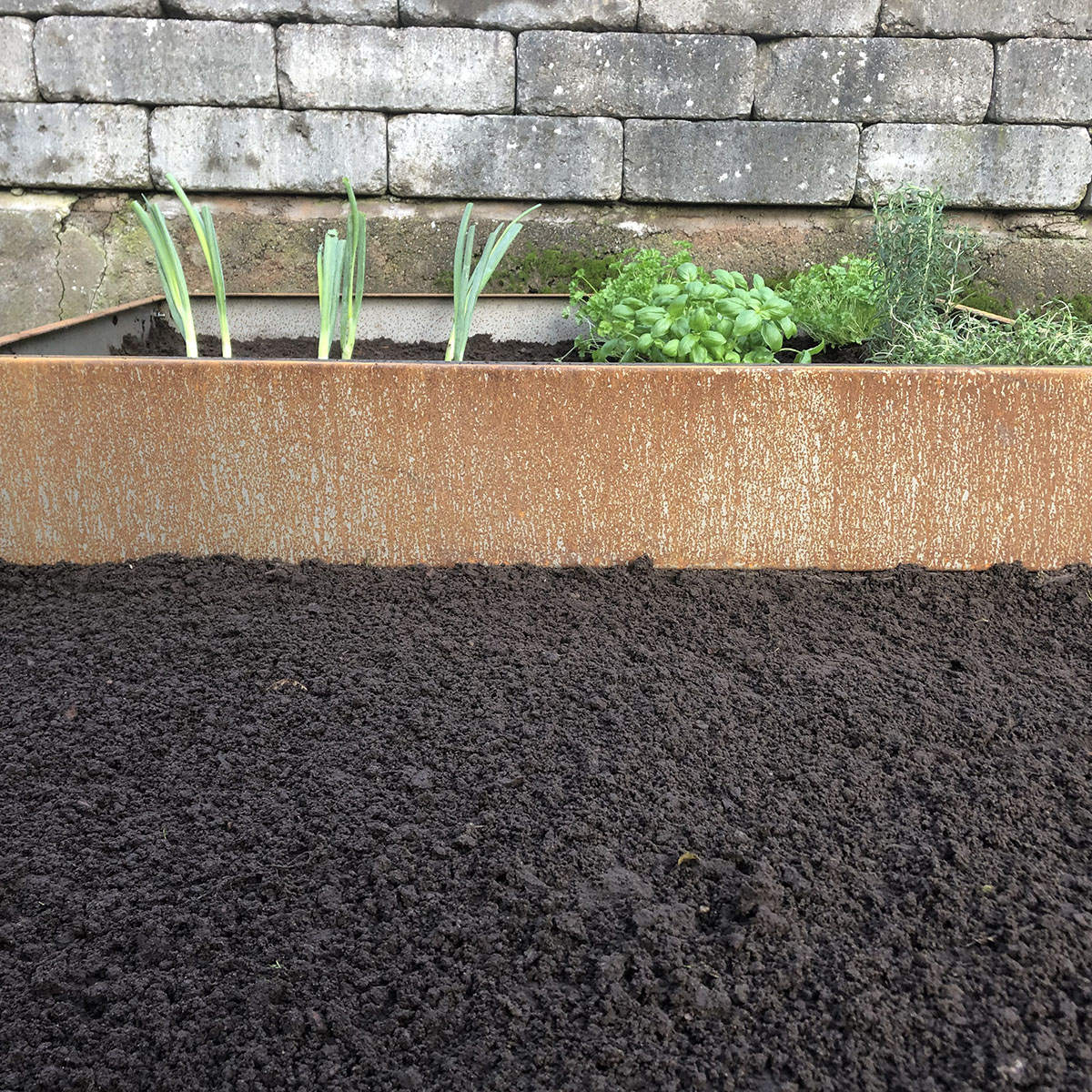 Odlingslåda Flexigarden Cortenplåt 2 mm 800x1200x200 mm