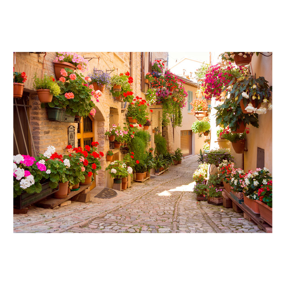 Fototapet Arkiio The Alley In Spello Italy