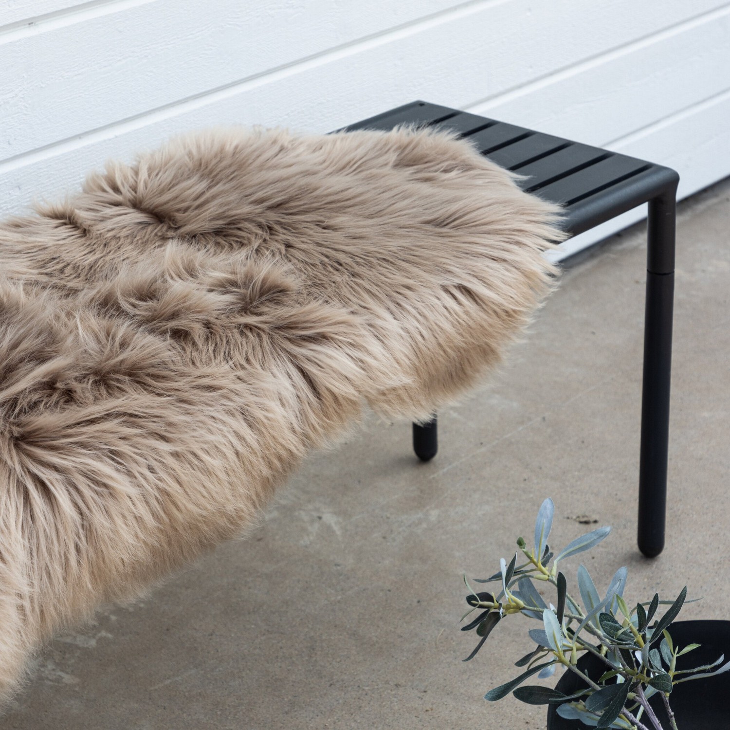 Pläd Venture Home Katy