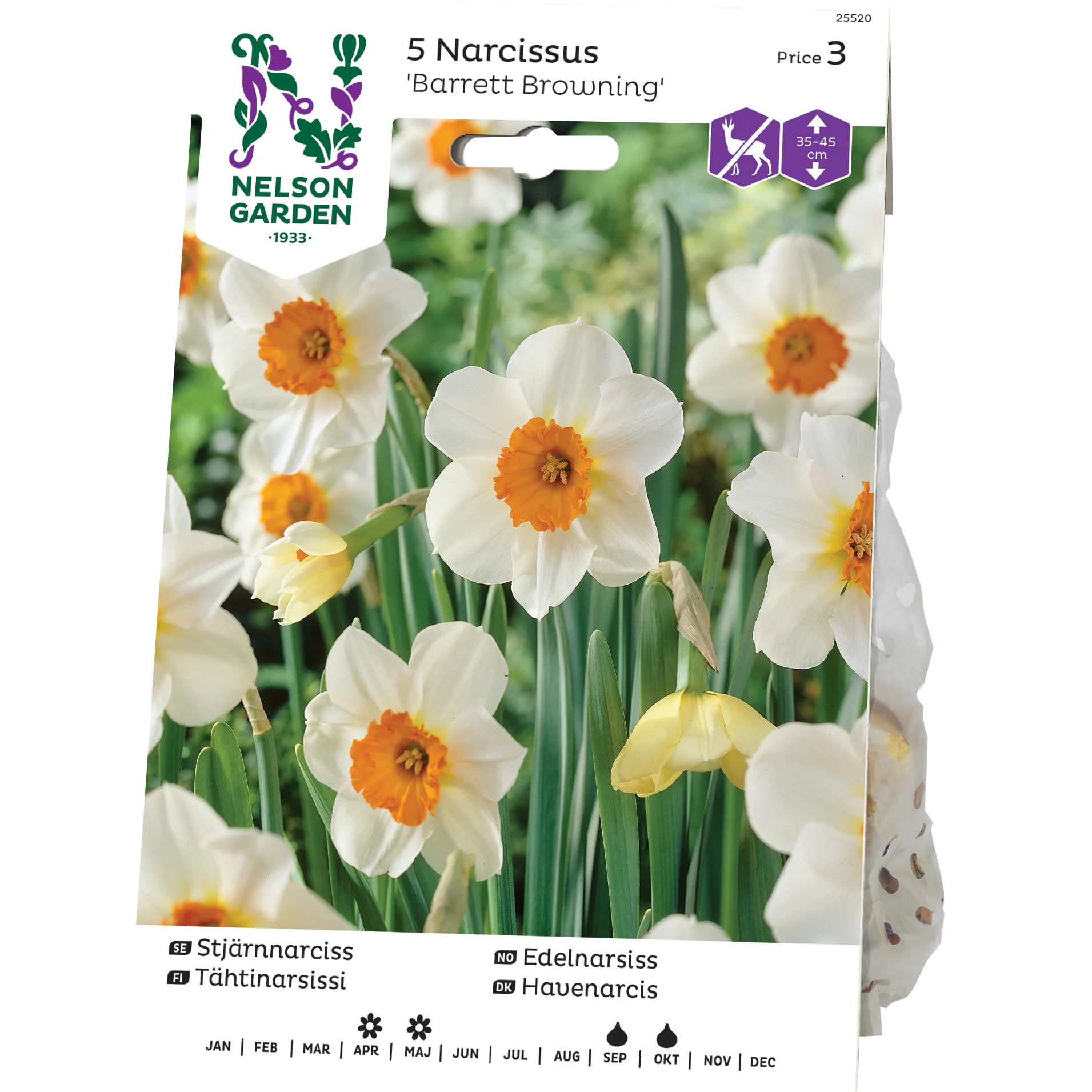 Stjärnnarciss Nelson Garden Barret Browning
