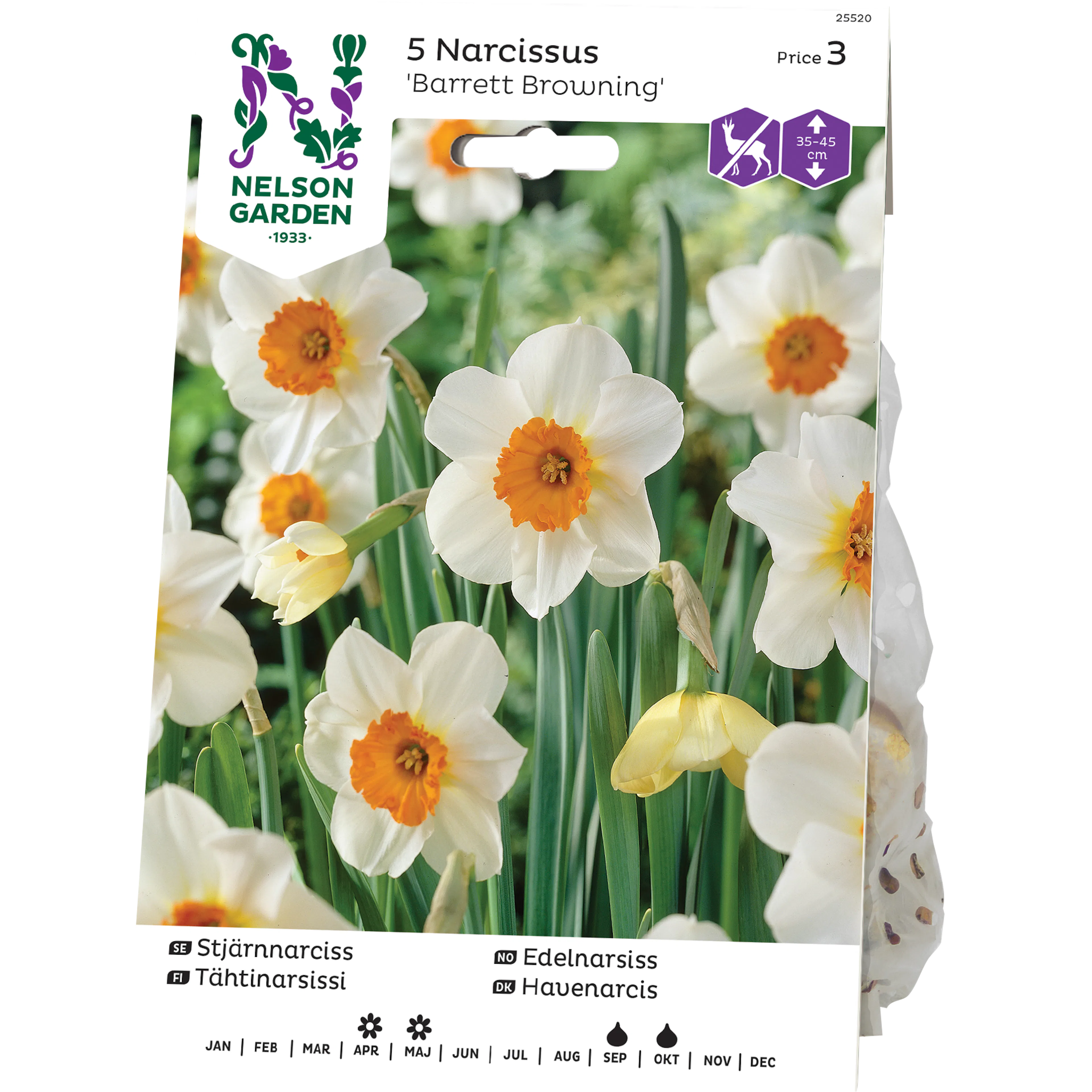 Stjärnnarciss Nelson Garden Barret Browning