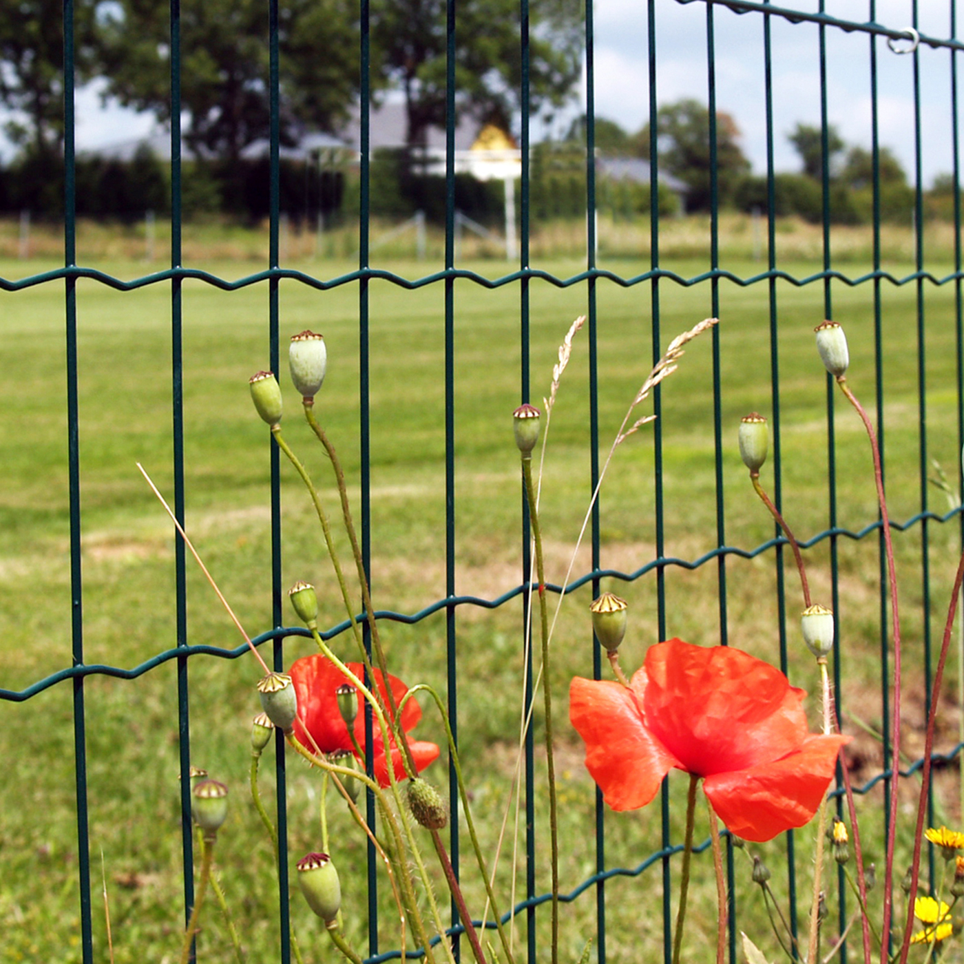 Trädgårdsstängsel NSH Maskstorlek 10 x 10 cm Grön