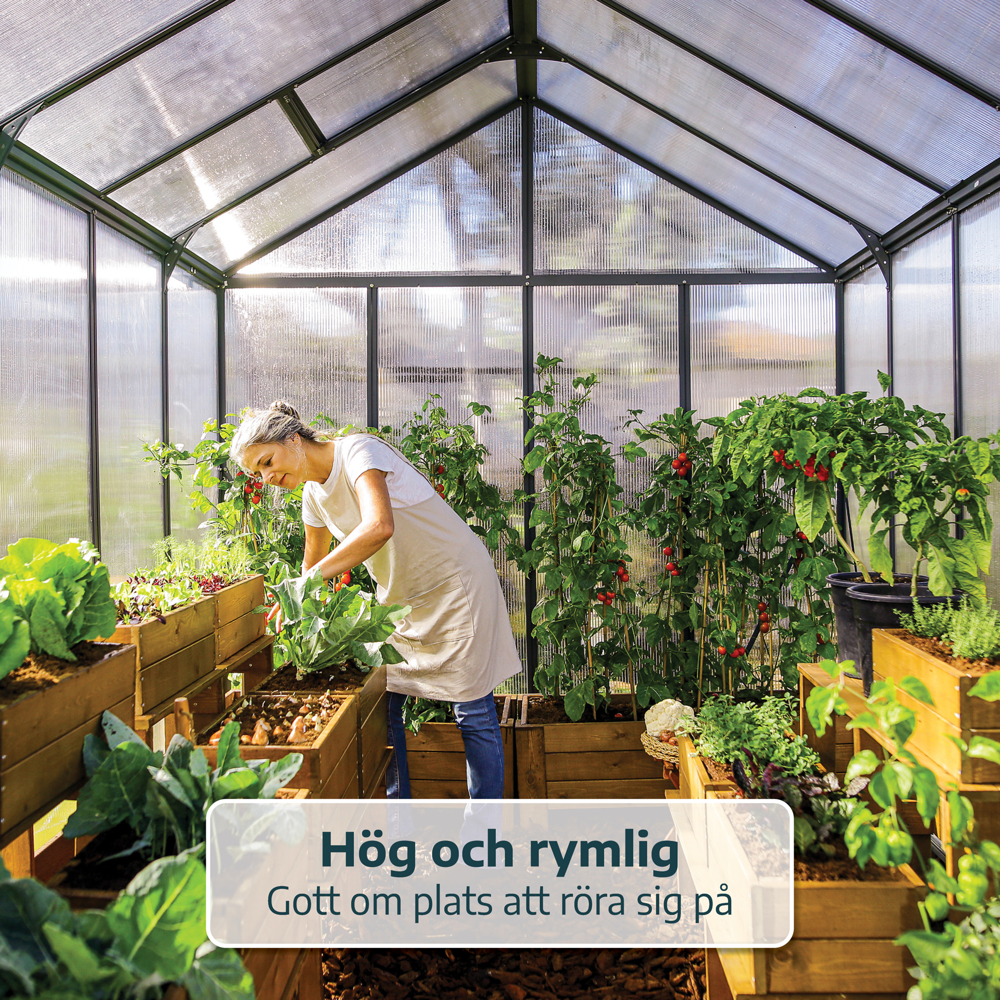 Växthus Canopia by Palram Glory 15,3 m² Mörkgrå
