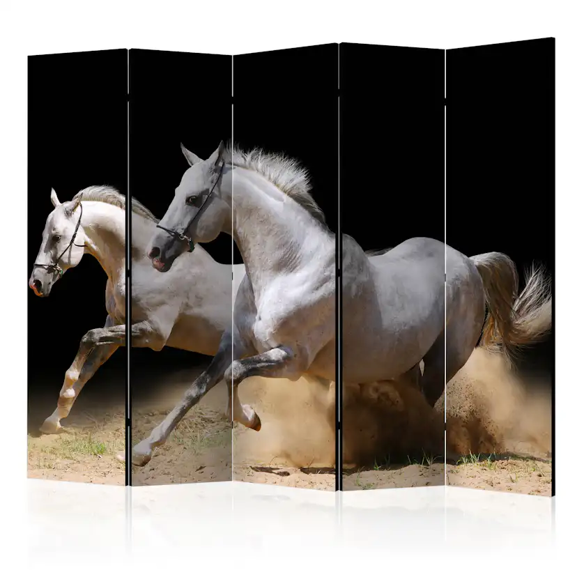 Rumsavdelare Skärmvägg Arkiio Galloping Horses On The Sand II 225x172 cm