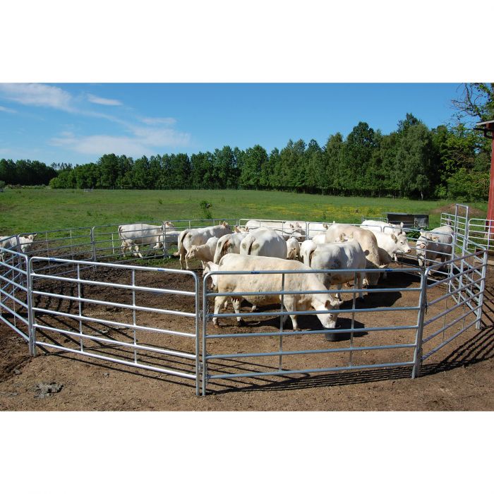 Grind Kellfri med krok och länk