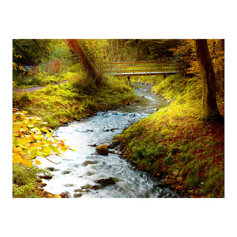 Fototapet Arkiio Brook Sunrise