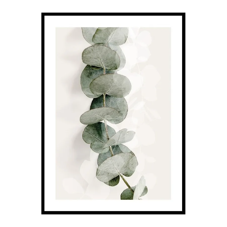 Poster Gallerix Eucalyptus No8