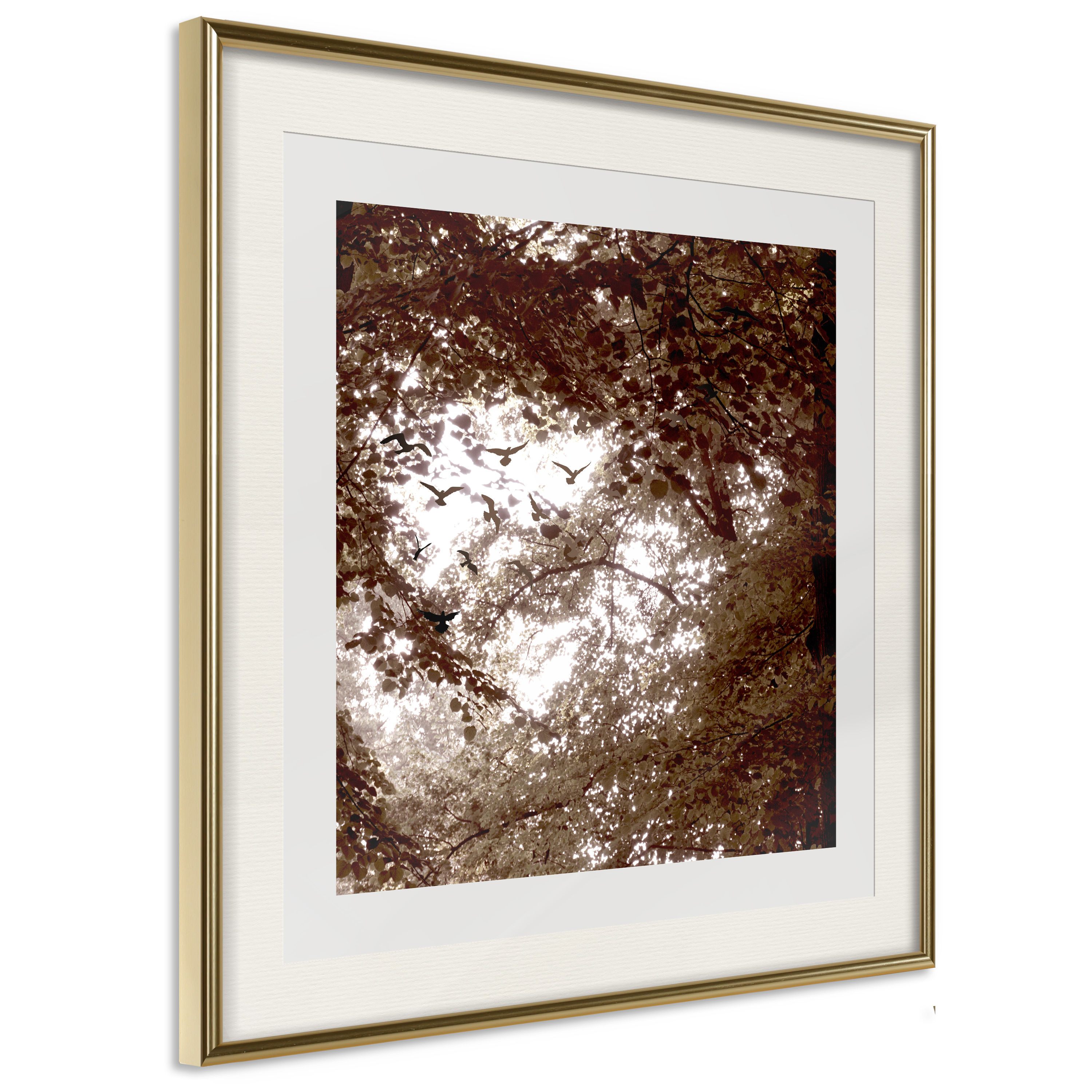 Affisch - Freedom [Poster] 20x20 Guld ram med passepartout, 20x20 cm