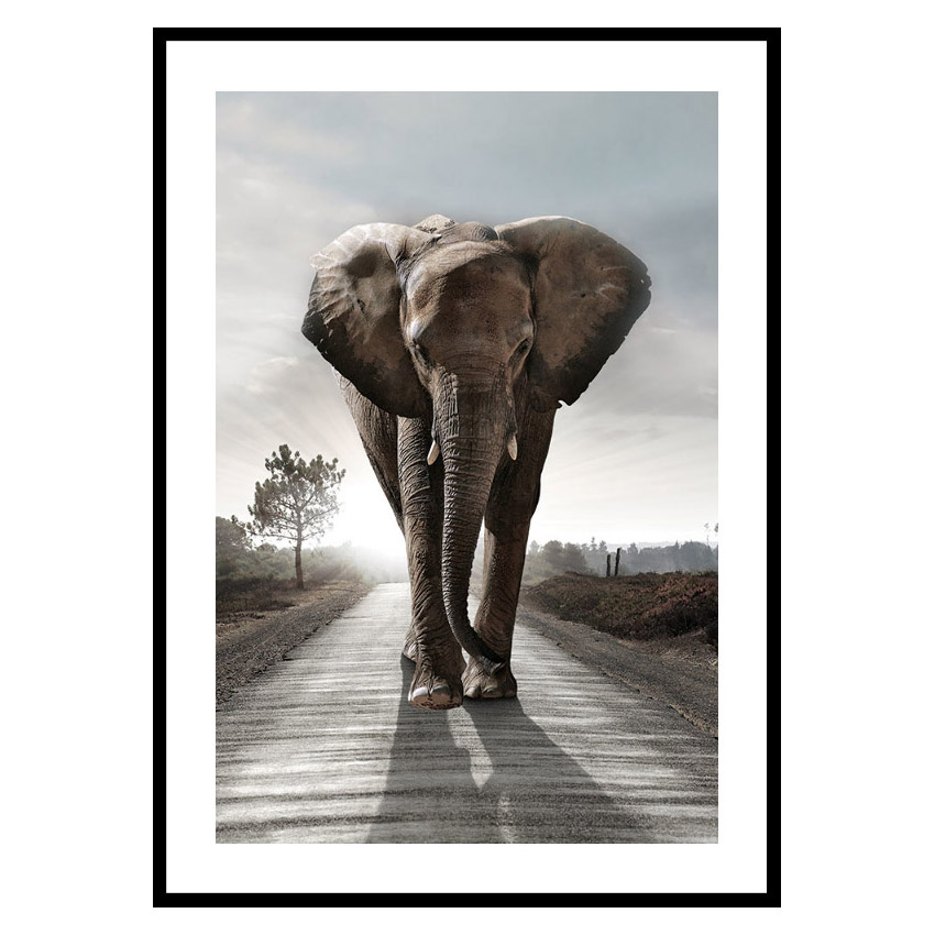 Poster Gallerix Elephant Road