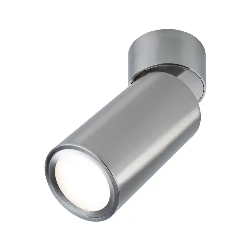 Takspotlight Paulmann Turnal