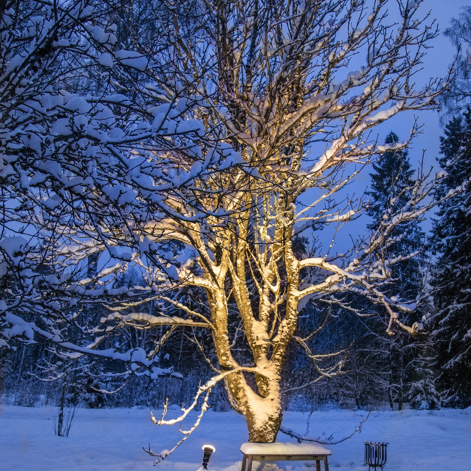 LED-lampa Star Trading E27 PAR38 Spotlight Outdoor Svart