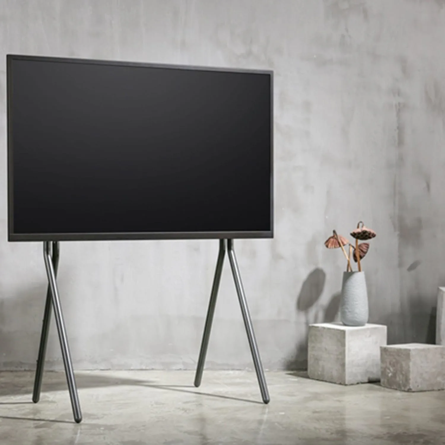 TV & bild