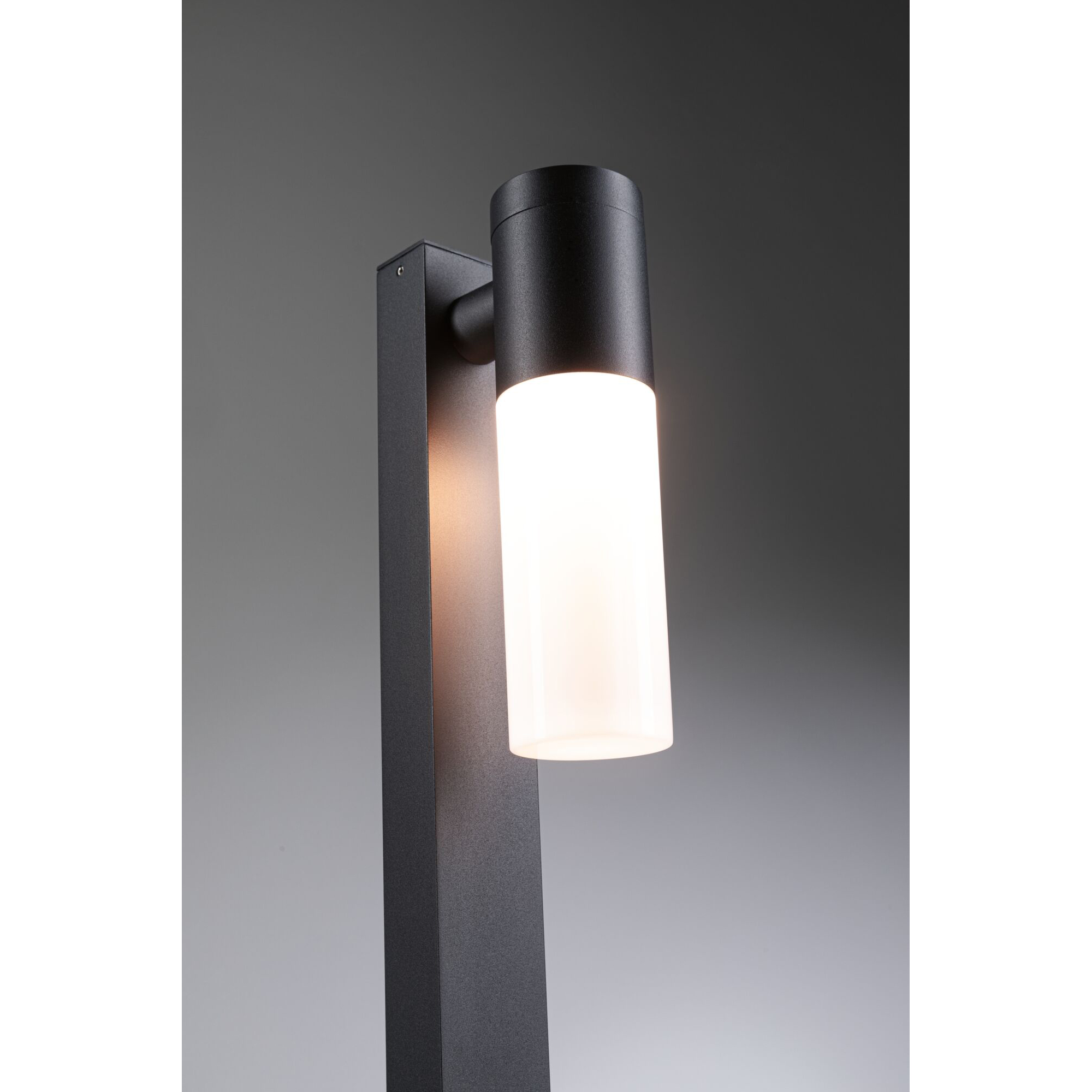 Pollare Paulmann Tralia IP44 230V E27