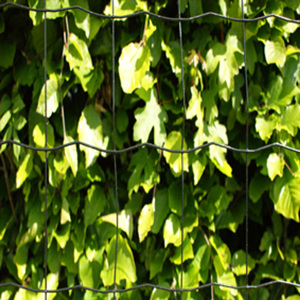 Villastängsel HORTUS Maskstorlek 5x10 cm Svart