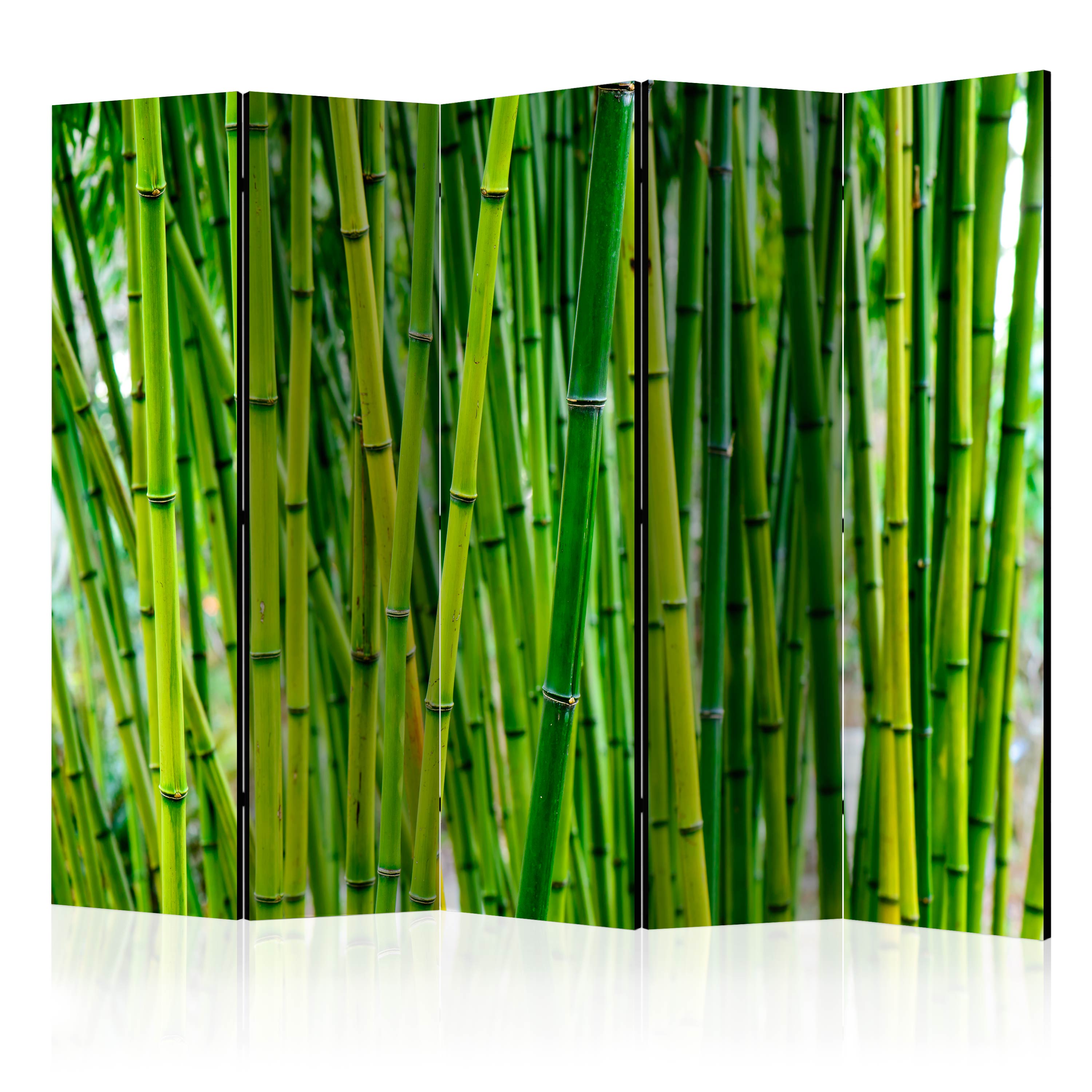 Rumsavdelare Skärmvägg Arkiio Bamboo Forest II 225x172 cm